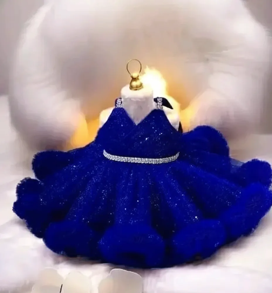 Stylish Agile Net Sleeveless Frock for Baby Girls
